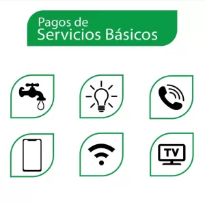 Servicios Basicos